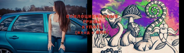 шишки Лабытнанги