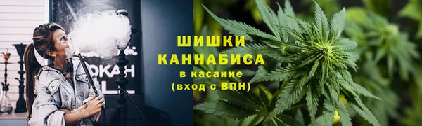 хмурый Ладушкин