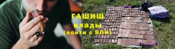 шишки Лабытнанги