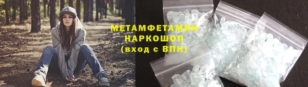 шишки Лабытнанги