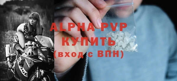 шишки Лабытнанги