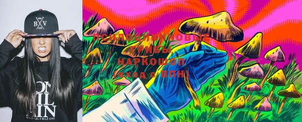 хмурый Ладушкин