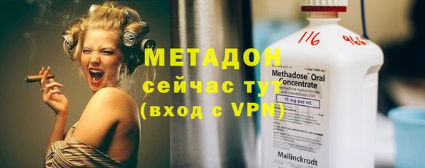 шишки Лабытнанги