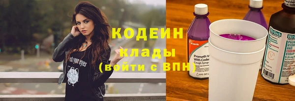 шишки Лабытнанги