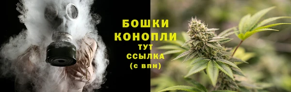 шишки Лабытнанги