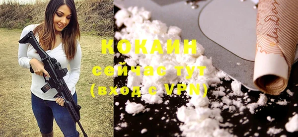 хмурый Ладушкин