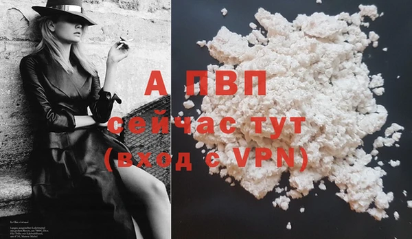 шишки Лабытнанги