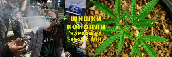 шишки Лабытнанги