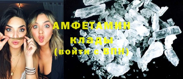 шишки Лабытнанги