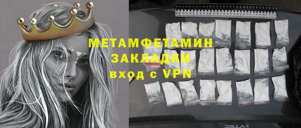 шишки Лабытнанги