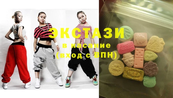 шишки Лабытнанги
