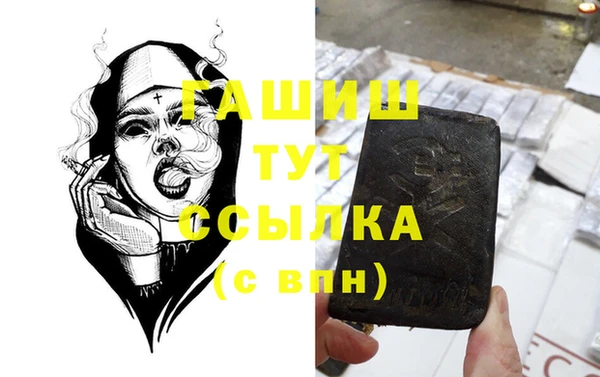шишки Лабытнанги