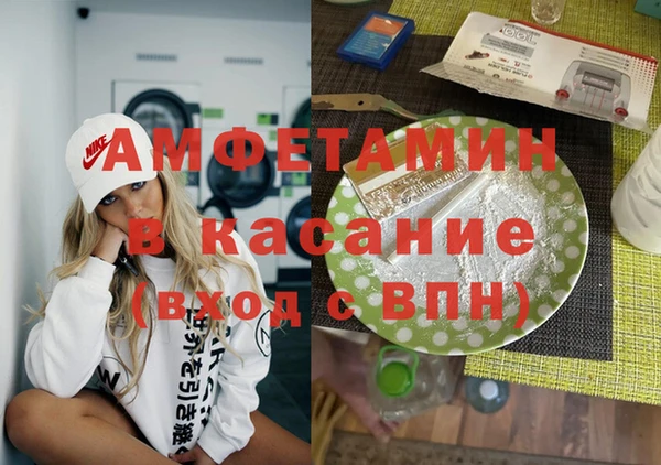 шишки Лабытнанги